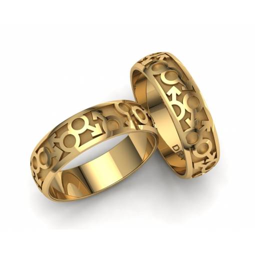 Yellow gold LGTBI Male symbols wedding rings